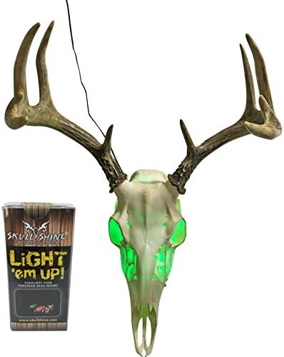 Skull Shine 20 Color Light Kit with Remote Control for Skull Mounts