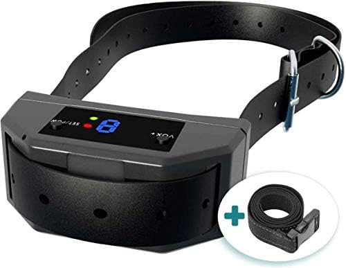 dog puppies for adoption near me