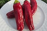 Organic Aleppo Pepper Seeds (Halaby Pepper, pul biber) 20+ Seeds by Ohio Heirloom Seeds