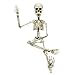 Colonel Pickles Novelties Poseable Skeleton Figure 19 Inch for Model Or Halloween Decoration - Multiple Custom Pose Positions