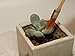 Ginsco 7pcs Succulent Transplanting Miniature Fairy Garden Planting Gardening Hand Tools Setthumb 3