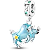 Pandach 12 Zodiac Sign Birthday Charms 925 Sterling Silver Birthstone Charms Fits Women's Charm Bracelet Necklace Bangle Gifts for Womens Friends