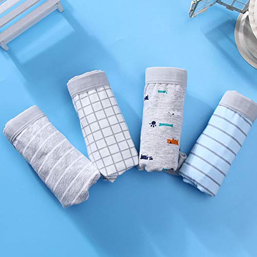 RAISEVERN Slip Boxer da Bambino Pantaloncini di Cotone Shorts Intimo Assortito 4 Pezzi Pantaloni Bambino Pantaloni di Sicurezza 2-3 Anni