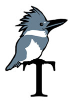 T Kingfisher
