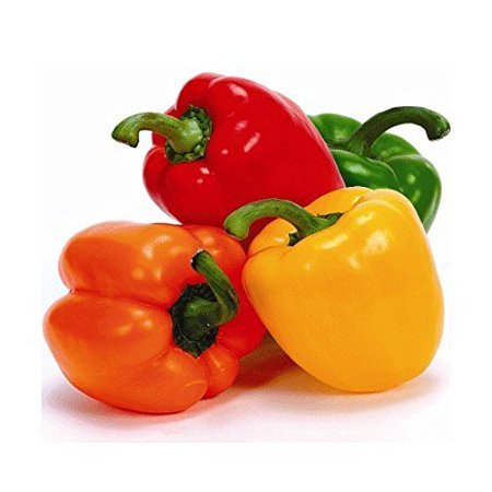 Creative Farmer Vegetable Seeds Mixed Capsicum Seeds Seeds For Summer Season Seeds Kitchen Garden Seeds Pack