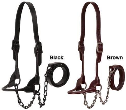 Weaver Leather Sleek Look Cow Heifer Steer Calf Show Halter Control Chain Lead (Black, Medium)