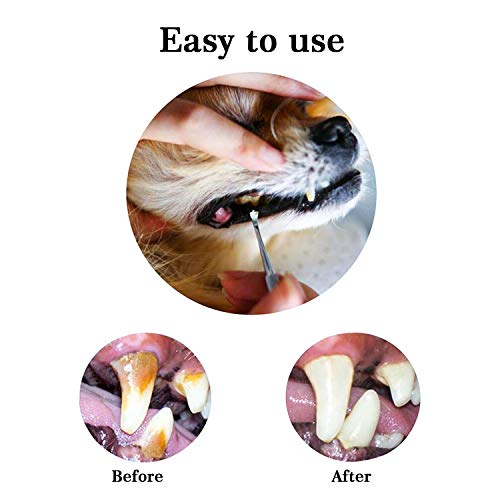 Dog Dental Tooth Scaler and Scraper Stainless Double Headed Tarter