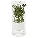 Honey-Can-Do Glass Herb Preserver, Clear/White, medium