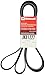 Motorcraft JK81227 V-Ribbed Belt