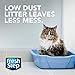 Fresh Step Odor Shield Scented Litter with The Power of Febreze, Clumping Cat Litter, 38 lb