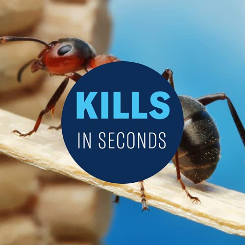 BioAdvanced Home Pest Control Indoor & Outdoor Insect Killer, Readyto