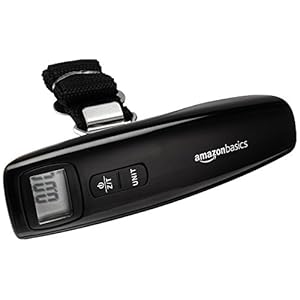 AmazonBasics Digital Luggage