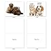 M6596TYG Copy Cats: 10 Assorted Thank You Note Cards Featuring Cats and Dogs That Have Similar Markings Wearing Crowns, w/White Envelopes.