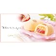 Tokyo Ginza Strawberry Cake