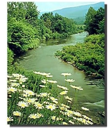 Amazon.com: Gifts Delight Laminated 24x32 inches Poster