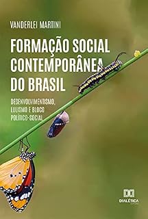 Livro Formação Social Contemporânea do Brasil: desenvolvimentismo, lulismo e bloco político-social