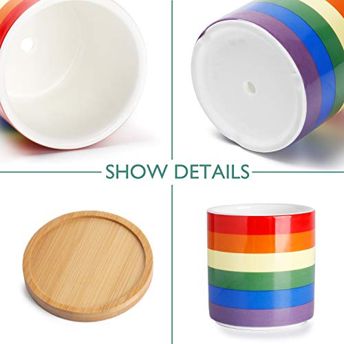 2 Greenaholics+Succulent+Pots+Cylinder+Planting