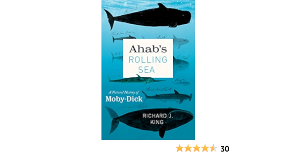 Ahabs Rolling Sea: A Natural History of Moby-Dick: Amazon.es ...