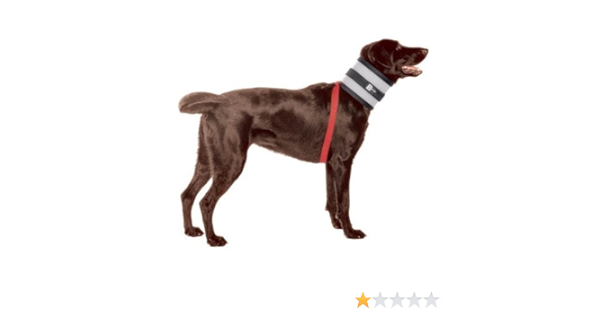 bitenot collar australia