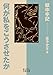 何が私をこうさせたか――獄中手記 (岩波文庫)