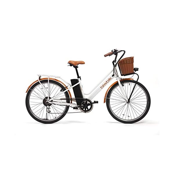 €749.00 BIWBIK Bici ELETTRICA MOD. GANTE Batteria 36V12AH - bikewebshop.it
