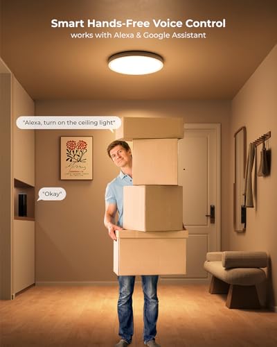 Matane Smart Ceiling Light RGB, LED Ceiling Light Dimmable 24 W, 16 Million DIY Colours, Compatible with Alexa & Google Assistant, RGB Ceiling Light LED for Living Room, Bedroom, Children's Room
