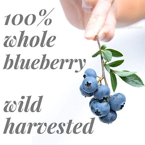 powbab Dried Wild Blueberries. 100 Whole Dried Blueberries No Sugar