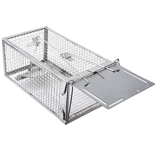 Top 10 Live Catch Traps For Rats of 2020 No Place Called Home