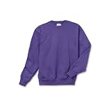 Hanes Youth ComfortBlend EcoSmart Crewneck Sweatshirt