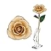 24K Beige Rose Christmas Gifts for Her, Dipped Gold Rose Eternity Love Real Golden Plated Preserved Eternal Flower with Rose Stand Present for Wife/Mom/Grandma (Beige)