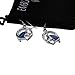 Horse Earrings | Brilliant Abalone Paua Shell | Hypoallergenic Silver Plated Horseshoe