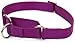 Coastal Pet - No Slip - Martingale Adjustable Dog Collar, Purple, 3/4
