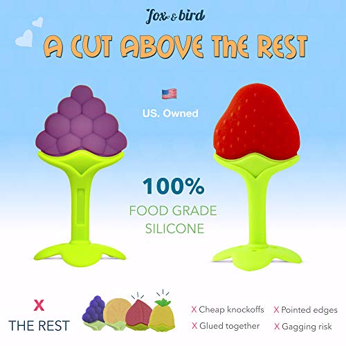 Fox and Bird - Baby Fruit Teether Pacifier (5 Pack) | Best Fruit Teething Toys for Toddlers and Infants | Baby Gum Massager | Baby Shower Registry Gift Set, with Pacifier Clip. (for Girls and Boys)