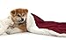 KritterWorld Pet Microplush Sherpa Snuggle Blanket, 50-Inch-by-60-Inch, Wine