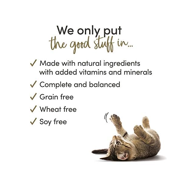 Applaws-Grain-Free-Dry-Cat-Food-Chicken-and-Salmon-2kg Applaws Complete and Grain Free Dry Adult Cat Food, Chicken with Salmon, 2kg (Pack of 1)