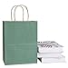 BagDream Shopping Bags 8x4.25x10.5 Inches 100Pcs Gift Bags Kraft Bags Retail Bags Green Stripe Paper Bags with Handles Bulk, 100% Recycled Paper Gift Bags