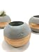 ORB Concrete Succulent Planters / Air Plant Holders (Set of 3) GOLD.