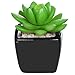 MyGift Set of 3 Modern Home Decor Mini Succulent Artificial Plants with Square Black Ceramic Pots