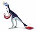Safari Ltd Carnegie Scale Model Oviraptor