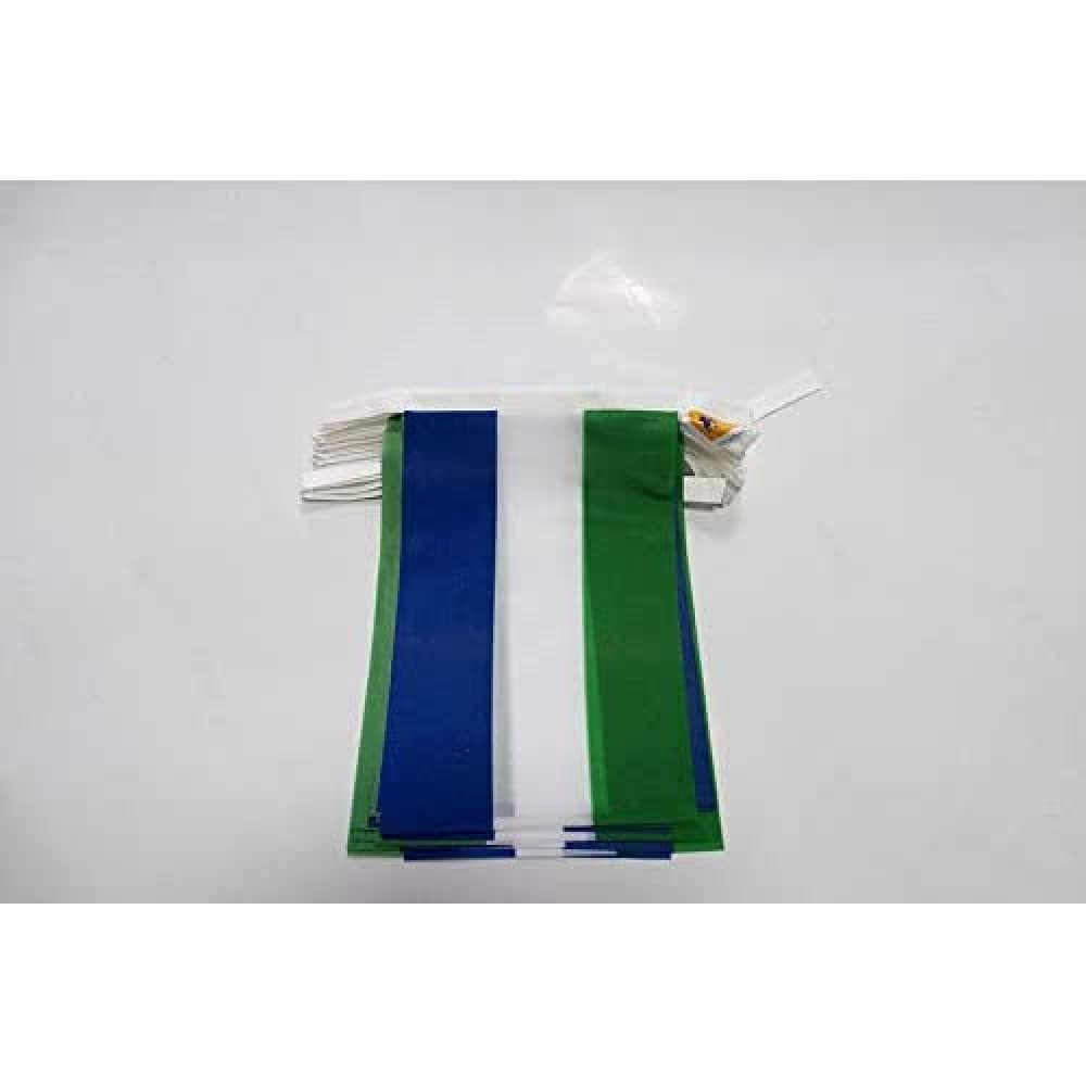AZ FLAG Sierra Leone Bunting Flag, 20 Ft Garland with 20 Small Sierra Leonean Flags 8'' x 6'', 100% Polyester String Pennant, 6 meters