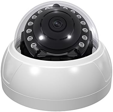 Dripstone HD-TVI 2.0MP Day/Night Smoke Dome Security Camera IP66 Weatherproof and Vandal Proof