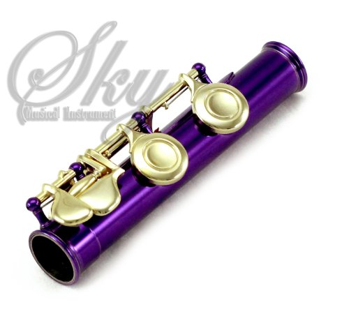 image for Sky Music Sky C Flute with Lightweight Case, Cleaning Rod, Cloth, Join
