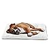 INVENHO Dog Bed Mat Comfortable Soft Crate Pad Anti-Slip Washable Dog Crate Pad for Large Medium Dogs & Cats
