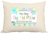 Large Toddler Pillow by Dreamtown Kids For Growing Kids Not Quite Ready For Adult Size. Delicate Handmade Organic Cotton Shell. Your Pure Sleep 16x22 Size Works With Toddler & Kids Beds. Made In USA.