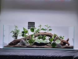 6 Gallon Low Iron Glass Bookshelf Aquarium 5mm