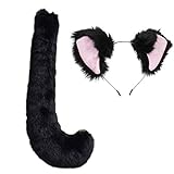 Anime Party Lolita Cosplay Costume Black Fox Cat