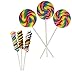 Fun Express 24 Total Suckers | 12 Twisty Rainbow Candy Lollipops 3 1/3 inch in Assorted Fruit Flavors and 12 Swirl Lollipops, Large, 2 3/4-Inch Suckers, Cherry Flavor
