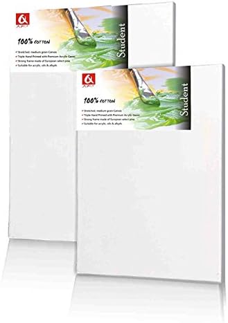 Canvas 4x4" (10x10cm) Artist Blank Stretched & Triple Gesso Primed Framed Cotton Canvas (10)