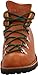 Danner Men's Mountain Trail Boot