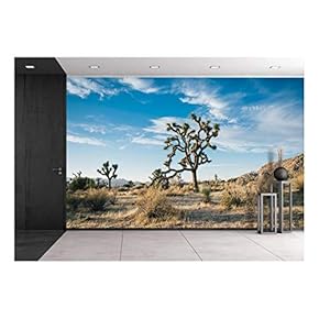 BRAND_NAMEBeautiful Desert Landscape